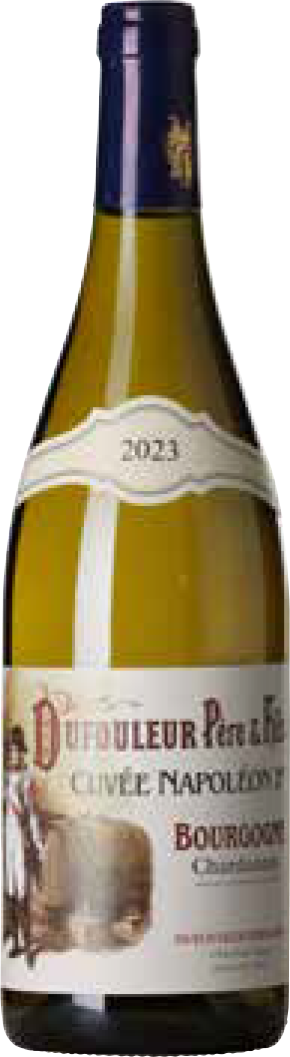 Dufouleur Pére & Fils Borgogne chardonnay