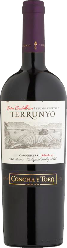 Terrunyo Carmenere