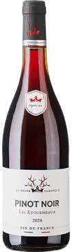 La Reine Pedaque Pinot Noir Bourgogne